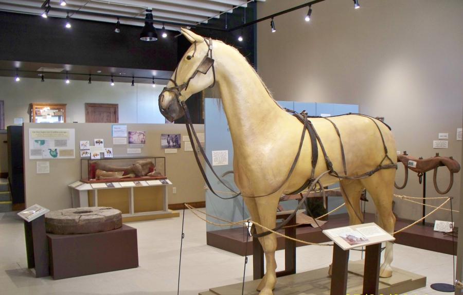 Pioneer Exhibit in South Gallery