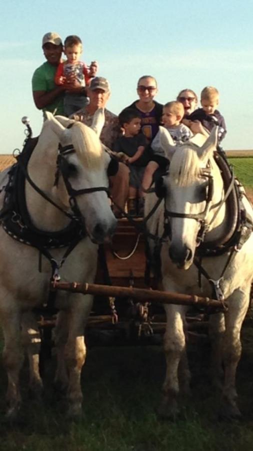 Horse-drawn wagon ride with Jack and Willie!